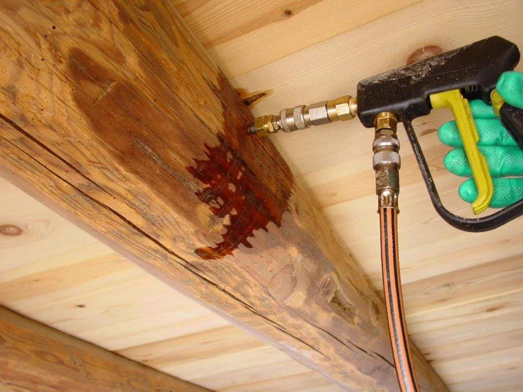 Tratamiento de la madera - Servicio profesional de control de plagas