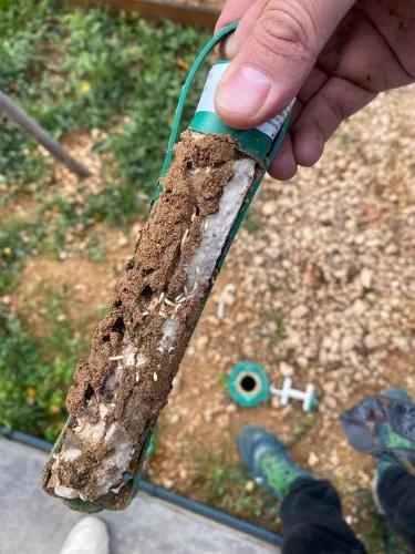 Control de Termitas Subterráneas - Servicio profesional de control de plagas